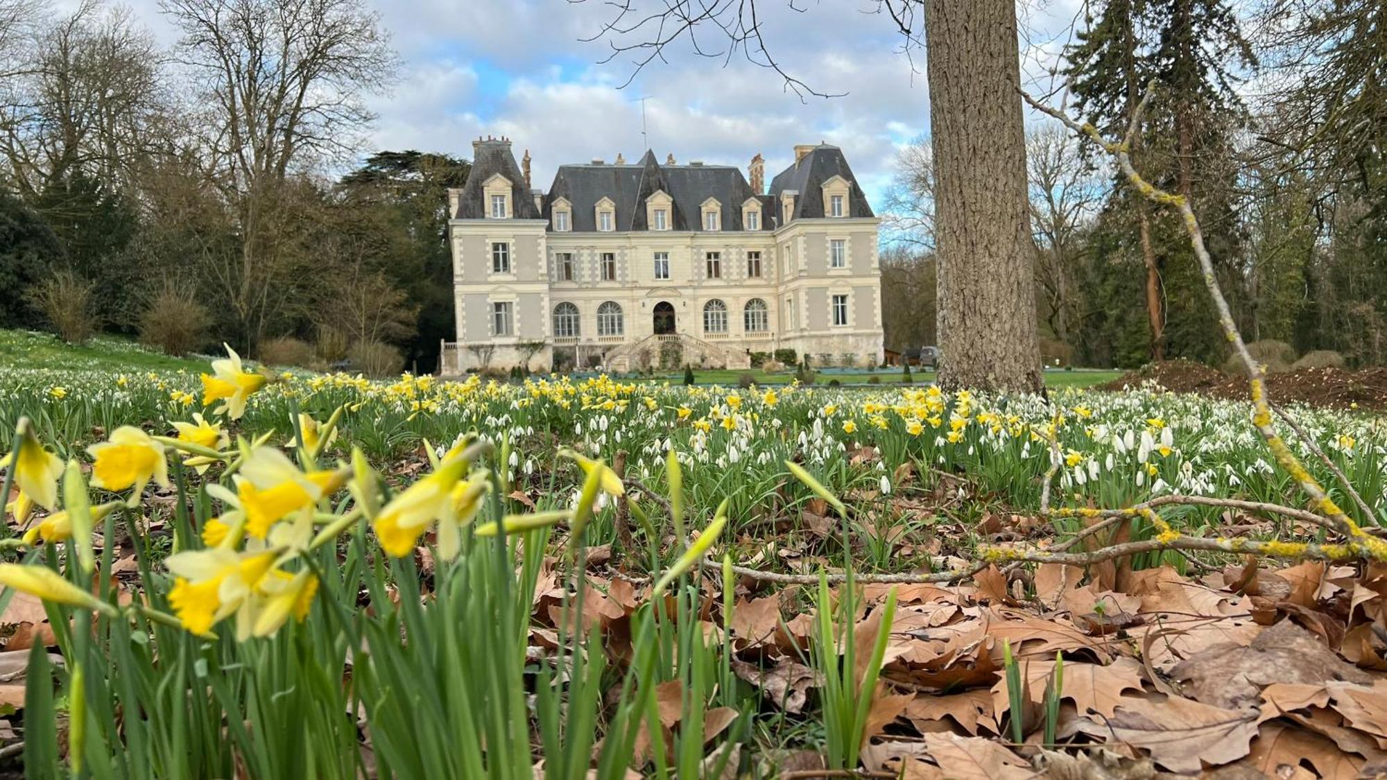 B&B Château de Saint-Bohaire Exterior foto