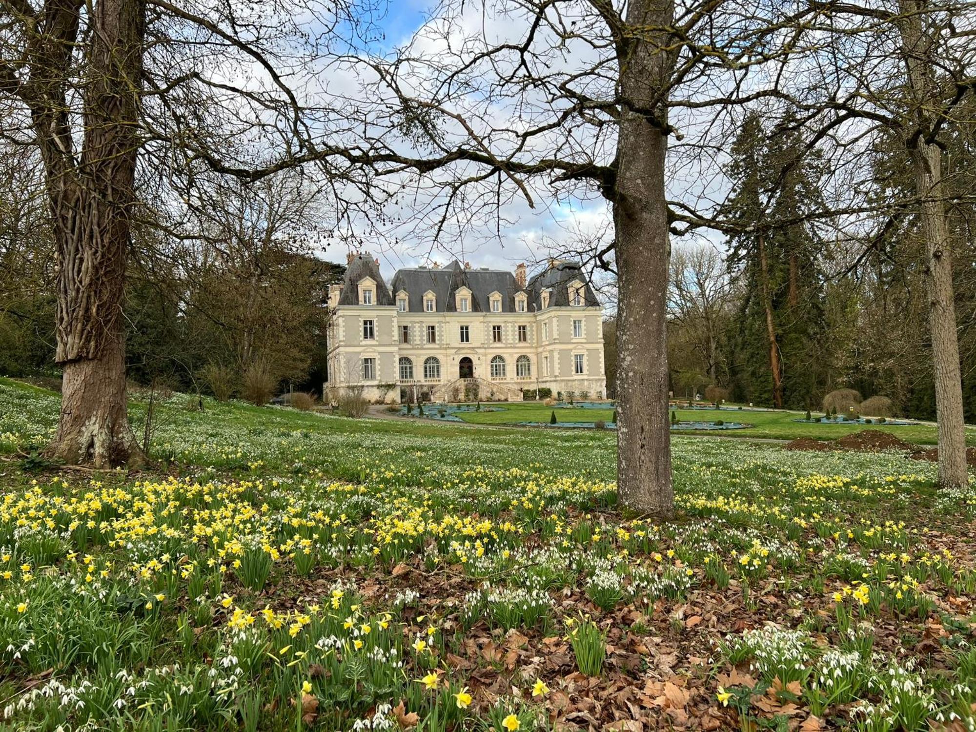B&B Château de Saint-Bohaire Exterior foto