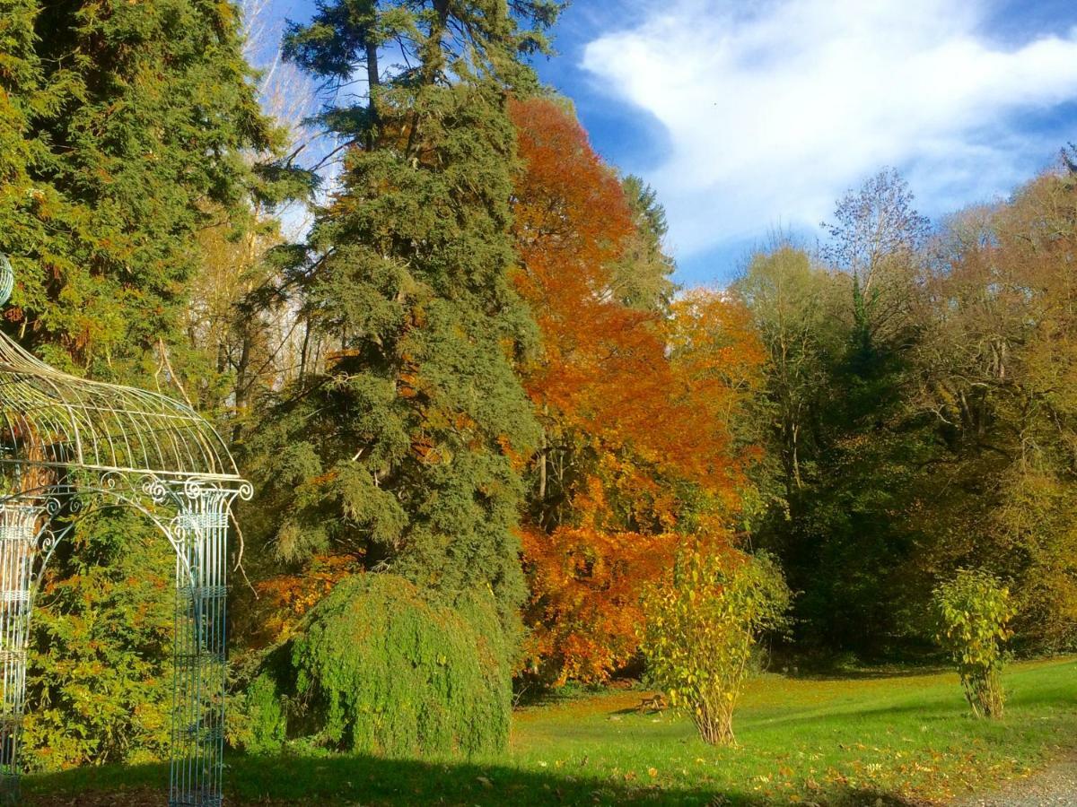 B&B Château de Saint-Bohaire Exterior foto